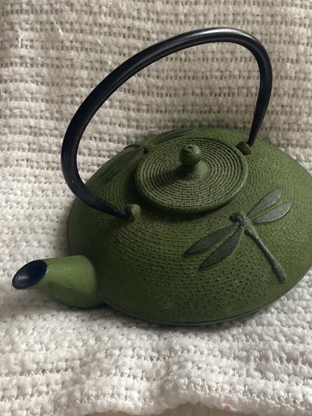ASIAN LARGE TEAPOT IN  CAST IRON DRAGONFLY  DETAIL